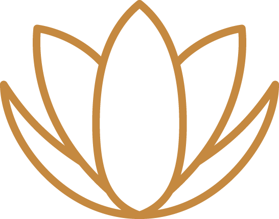 Expert Consultations